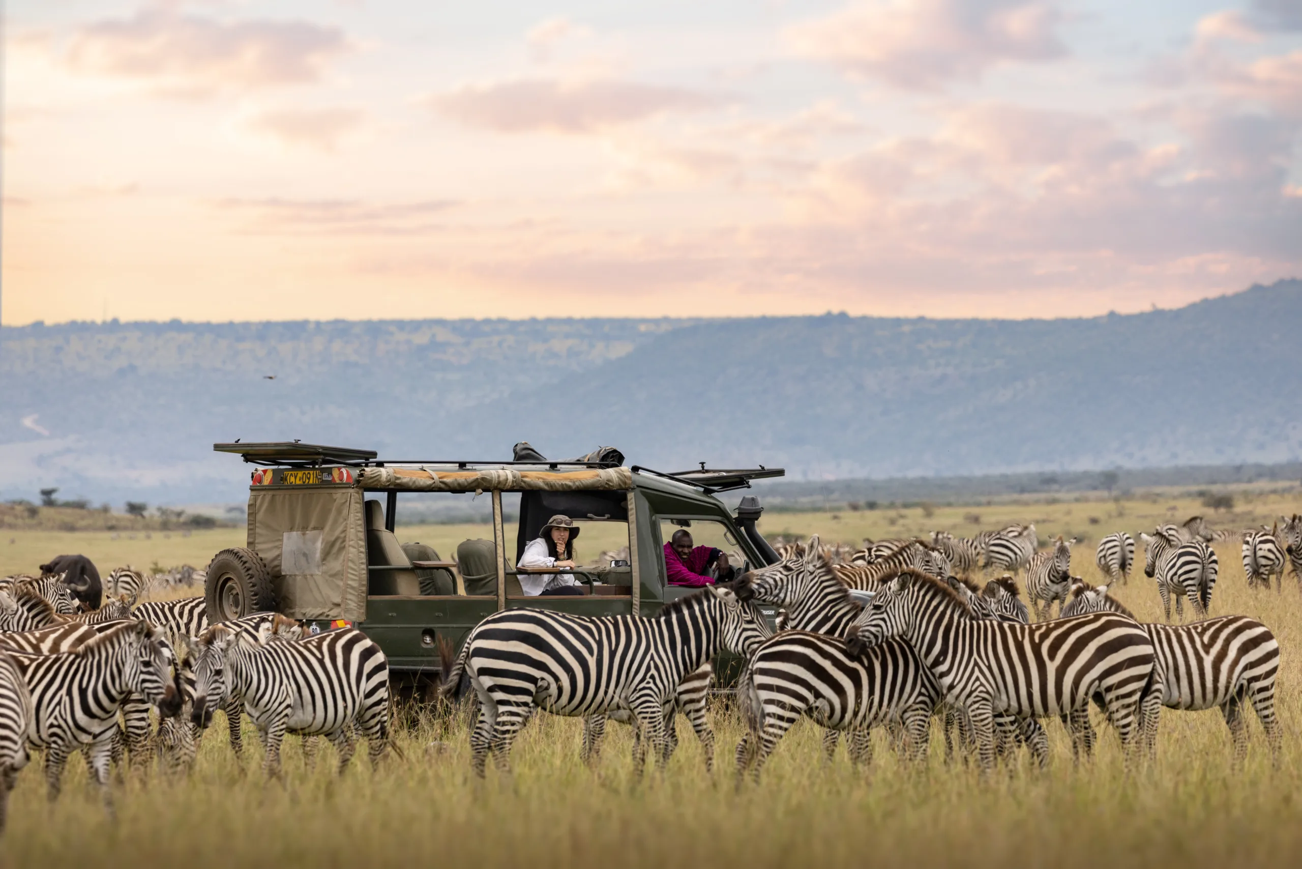 offbeat safaris availability